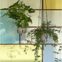 HAY Phanta Recycled Polyester Plant Hanger 175cm 7 HAY Phanta Recycled Polyester Plant Hanger 175cm -HAY Store Online unnamed file 410