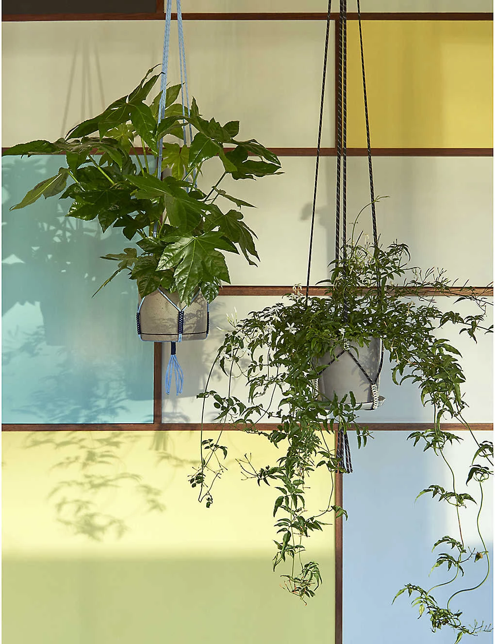 HAY Phanta Recycled Polyester Plant Hanger 175cm 5 HAY Phanta Recycled Polyester Plant Hanger 175cm - Image 3